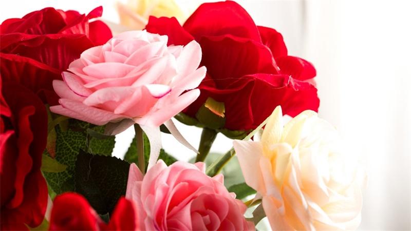 「花语小讲堂」不同枝数玫瑰，表达不同的感情